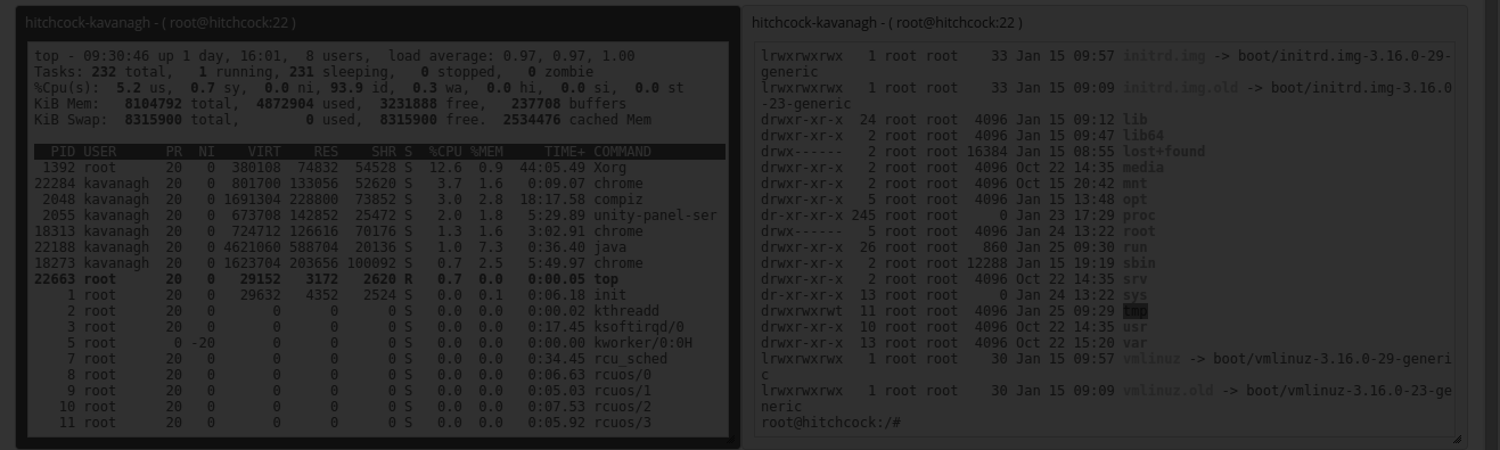 Composite SSH Terminals